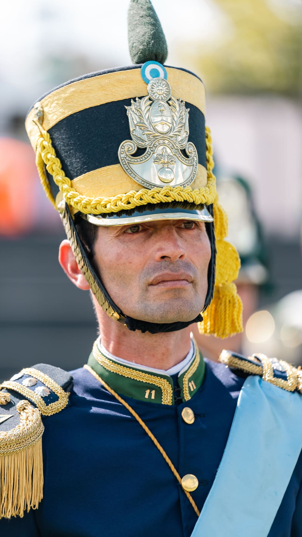 Detail of a ceremonial guard's plumed hat and gold-braided uniform collar
